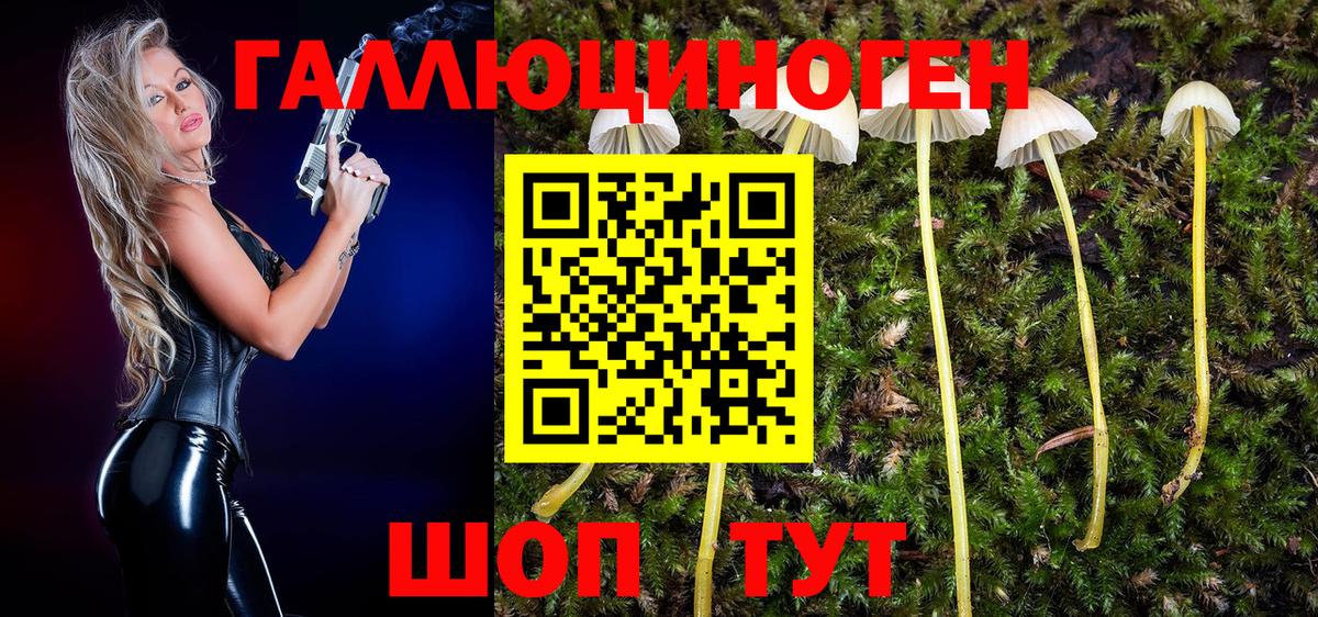 Псилоцибиновые грибы мухоморы  Псилоцибиновые грибы Psilocybe  Нижнекамск  Вход с VPN 